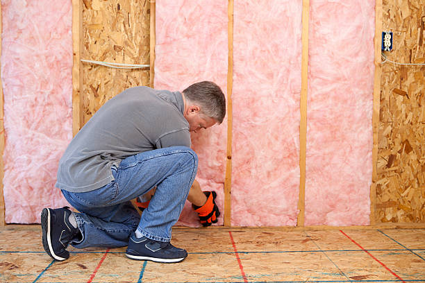 Best Insulation Installation Services in Mirrormont, WA